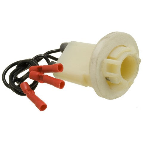 Parking Light Bulb Socket WVE 6S1039
