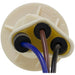 Parking Light Bulb Socket WVE 6S1040