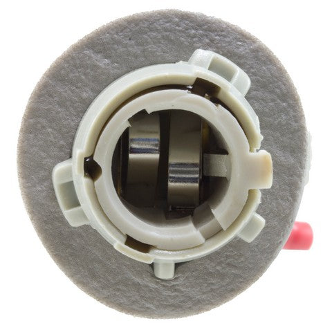 Tail Light Socket WVE 6S1042