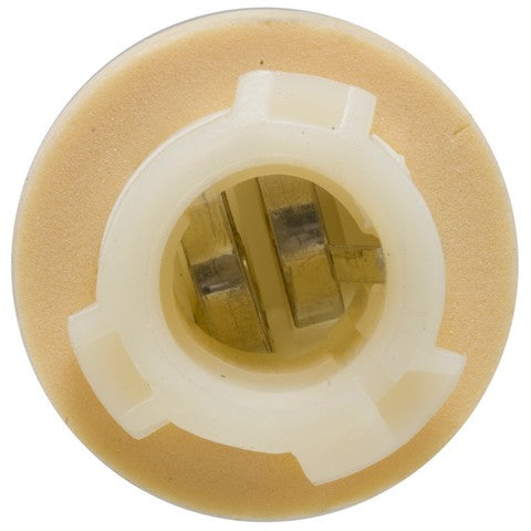 Tail Light Socket WVE 6S1044