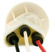 Tail Light Socket WVE 6S1044