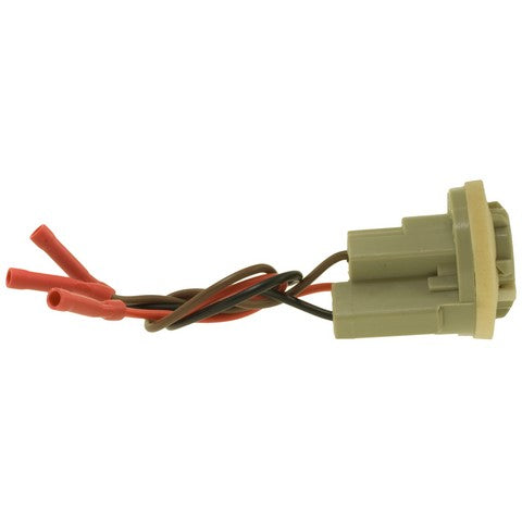 Tail Light Socket WVE 6S1053