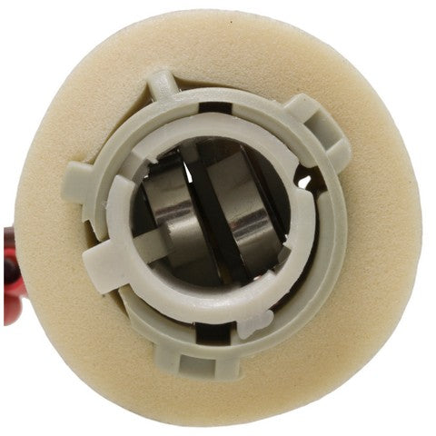 Tail Light Socket WVE 6S1053