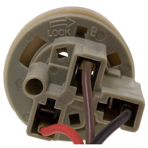 Tail Light Socket WVE 6S1053