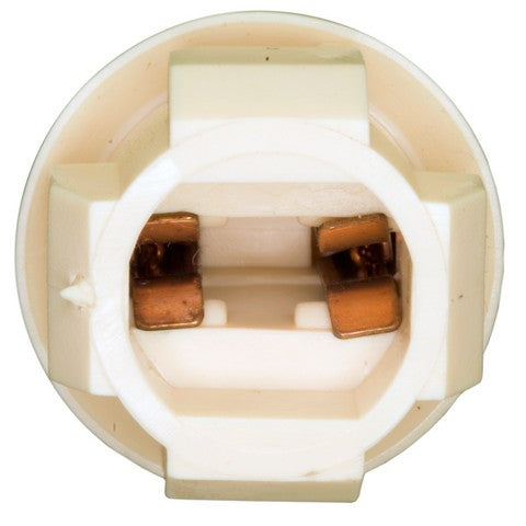 Side Marker Light Socket WVE 6S1054