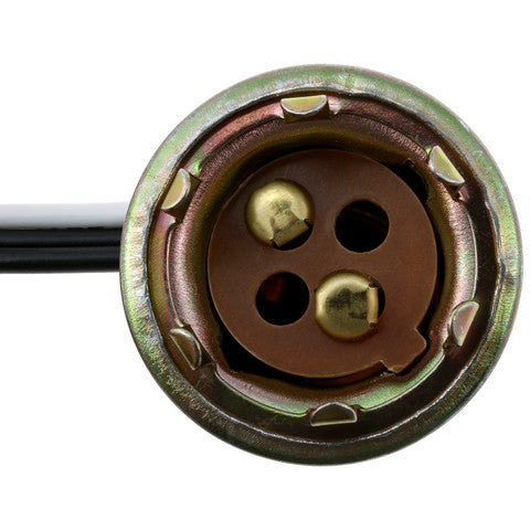 Combination Lamp Socket WVE 6S1061