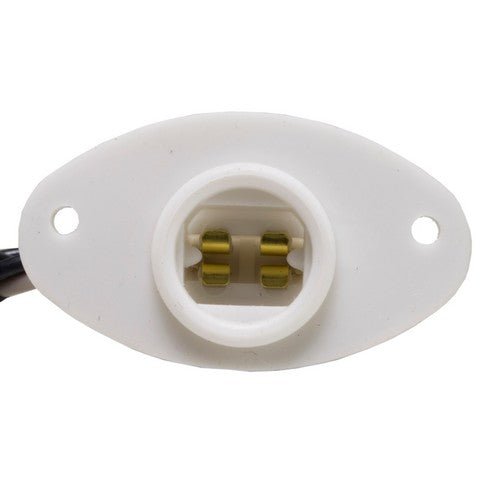 License Plate Light Socket WVE 6S1068