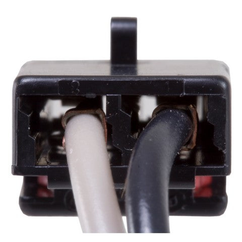 License Plate Light Socket WVE 6S1068