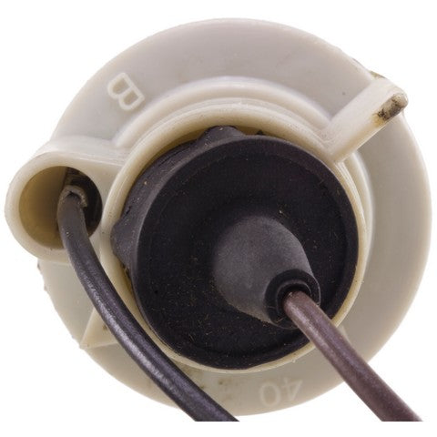 Parking Light Bulb Socket WVE 6S1075