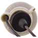 Parking Light Bulb Socket WVE 6S1075