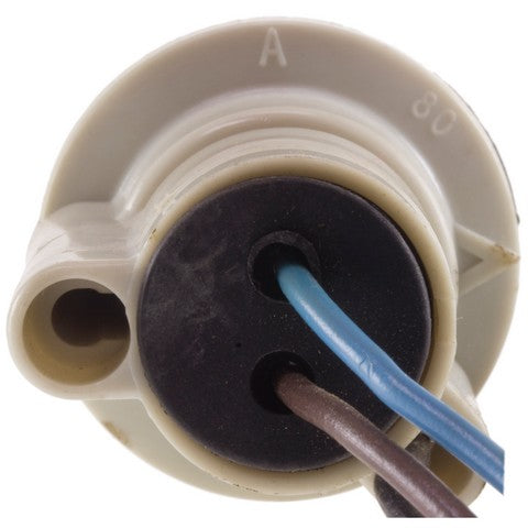 Parking Light Bulb Socket WVE 6S1075