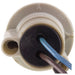 Parking Light Bulb Socket WVE 6S1075