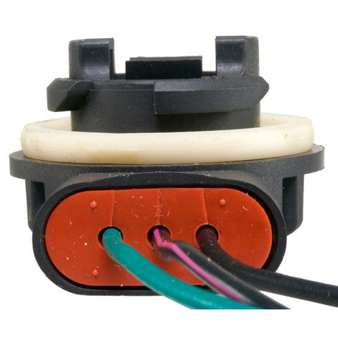Tail Light Socket WVE 6S1078