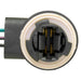 Tail Light Socket WVE 6S1078