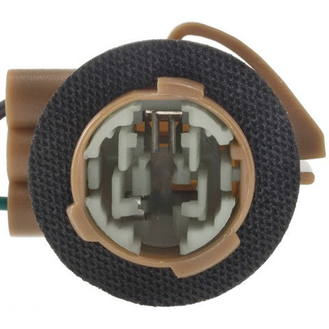 Back Up Light Socket WVE 6S1081