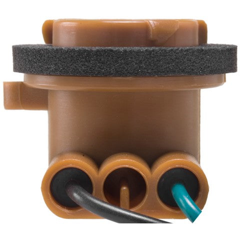 Back Up Light Socket WVE 6S1081