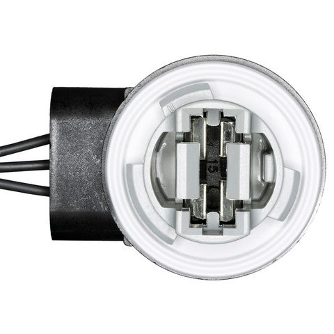 Tail Light Socket WVE 6S1099