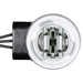 Tail Light Socket WVE 6S1099
