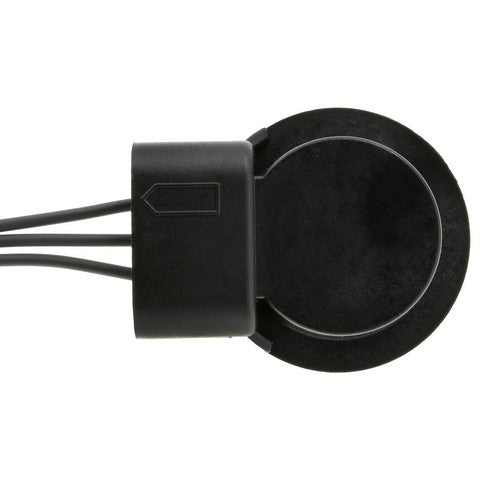 Tail Light Socket WVE 6S1099