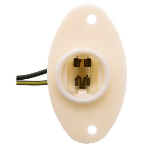 License Plate Light Socket WVE 6S1101
