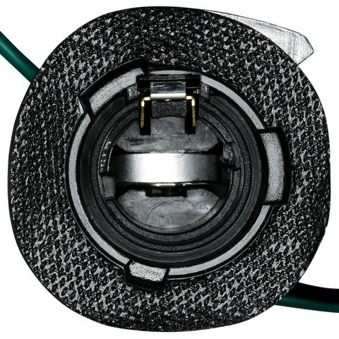 Back Up Light Socket WVE 6S1102