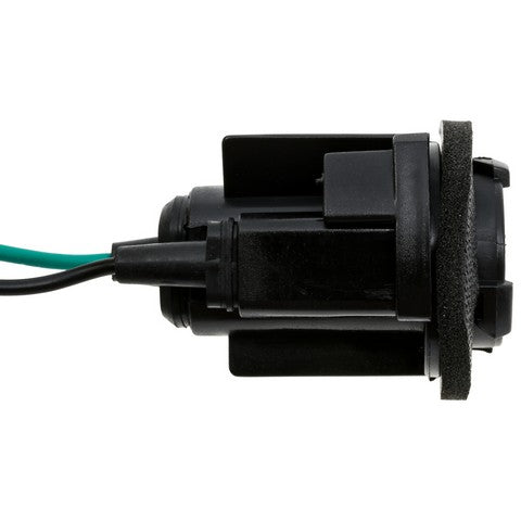 Back Up Light Socket WVE 6S1102