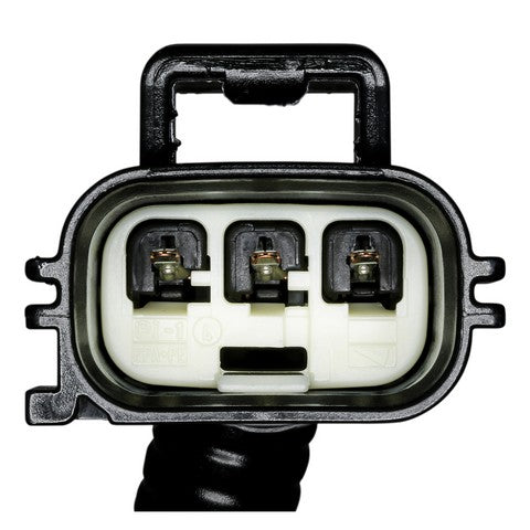 Side Marker Light Socket WVE 6S1103