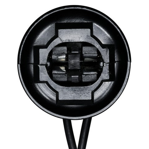 License Plate Light Socket WVE 6S1108