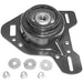 Suspension Strut Mount Anchor 701923