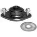 Suspension Strut Mount Anchor 701939