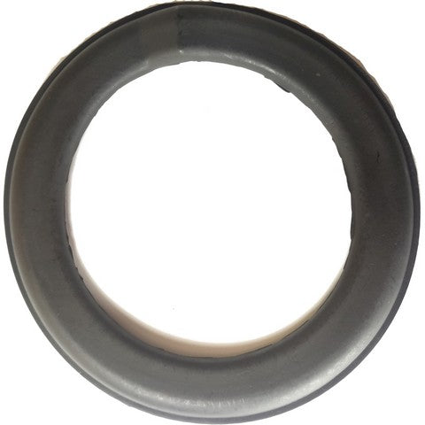 Coil Spring Insulator Anchor 705924