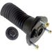 Suspension Strut Mount Anchor 705934