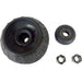Suspension Strut Mount Anchor 706989