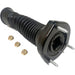 Suspension Strut Mount Anchor 708966