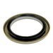 Drive Axle Shaft Seal DT Components 710170