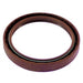Engine Crankshaft Seal DT Components 710219