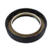 Engine Crankshaft Seal DT Components 710618