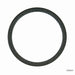 Engine Crankshaft Seal Timken 710669