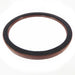 Engine Crankshaft Seal DT Components 710669