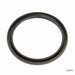 Engine Crankshaft Seal Timken 710767