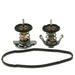 Engine Coolant Thermostat MotoRad 716-200
