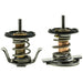 Engine Coolant Thermostat MotoRad 716-200