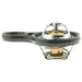 Engine Coolant Thermostat MotoRad 718-195