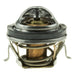 Engine Coolant Thermostat MotoRad 7207-192