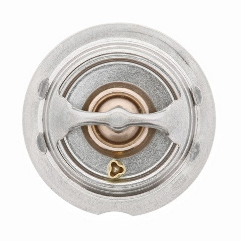 Engine Coolant Thermostat MotoRad 731-185
