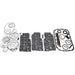 Automatic Transmission Overhaul Kit Pioneer 750226