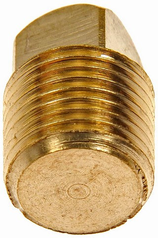 Pipe Plug Dorman 785-070D