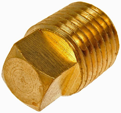 Pipe Plug Dorman 785-071D