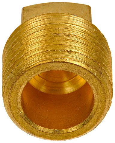 Pipe Plug Dorman 785-073D