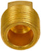 Pipe Plug Dorman 785-073D